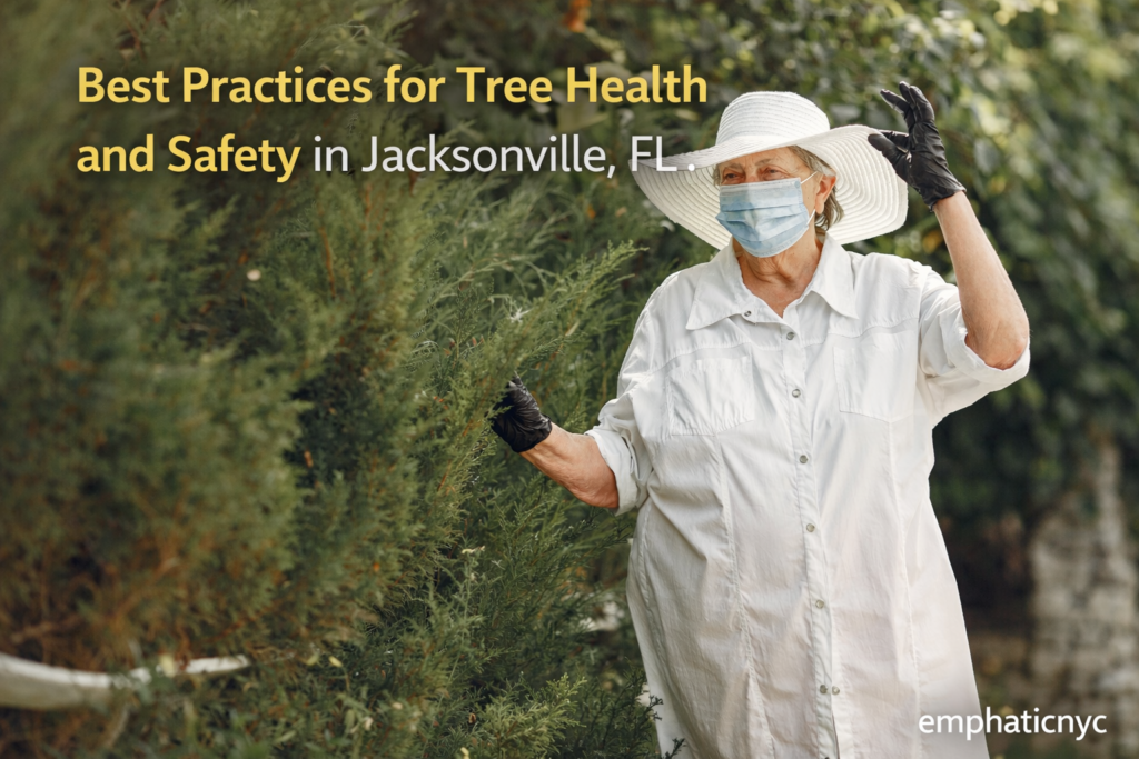 Best Practices for Tree Health and Safety in Jacksonville, FL