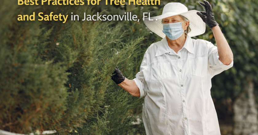 Best Practices for Tree Health and Safety in Jacksonville, FL