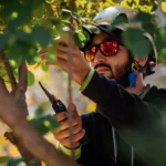 The Role of Professional Tree Care in Community Wellbeing in Burlington, WI