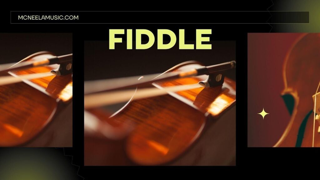 Interesting Facts About Fiddles That Heighten the Excitement of Playing