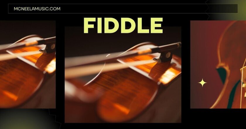 Interesting Facts About Fiddles That Heighten the Excitement of Playing