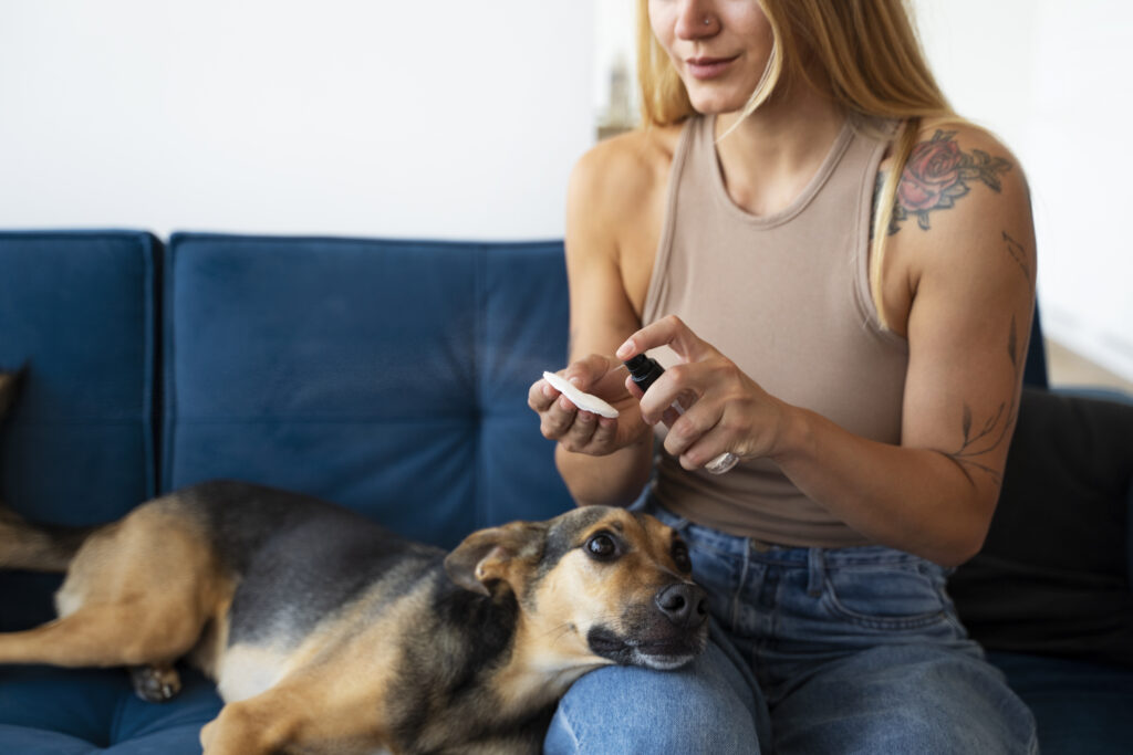 Why More Veterinarians Are Recommending Canine CBD for Pet Wellness
