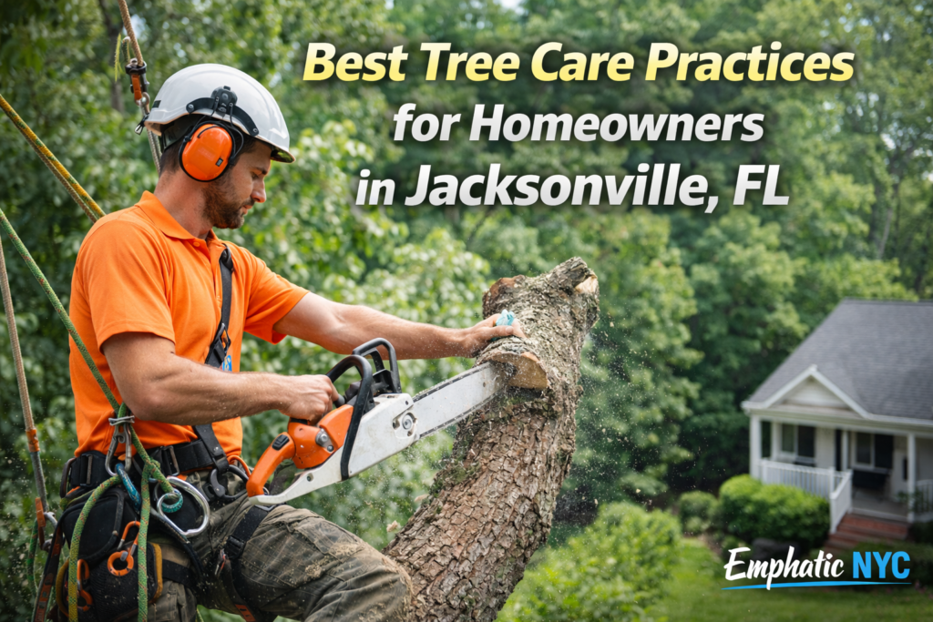 Best Tree Care Practices for Homeowners in Jacksonville, FL