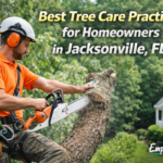 Best Tree Care Practices for Homeowners in Jacksonville, FL